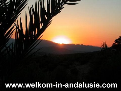 Vakantiewoning in andalusie te huur met prive zwembad